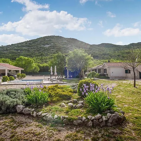 Silentio Dalmatia מאקרסקה