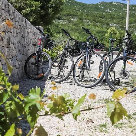 Silentio Dalmatia * מאקרסקה